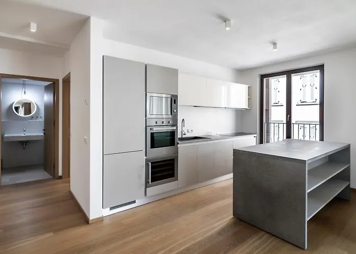 Cooper L Mavik & Attic 公寓 *